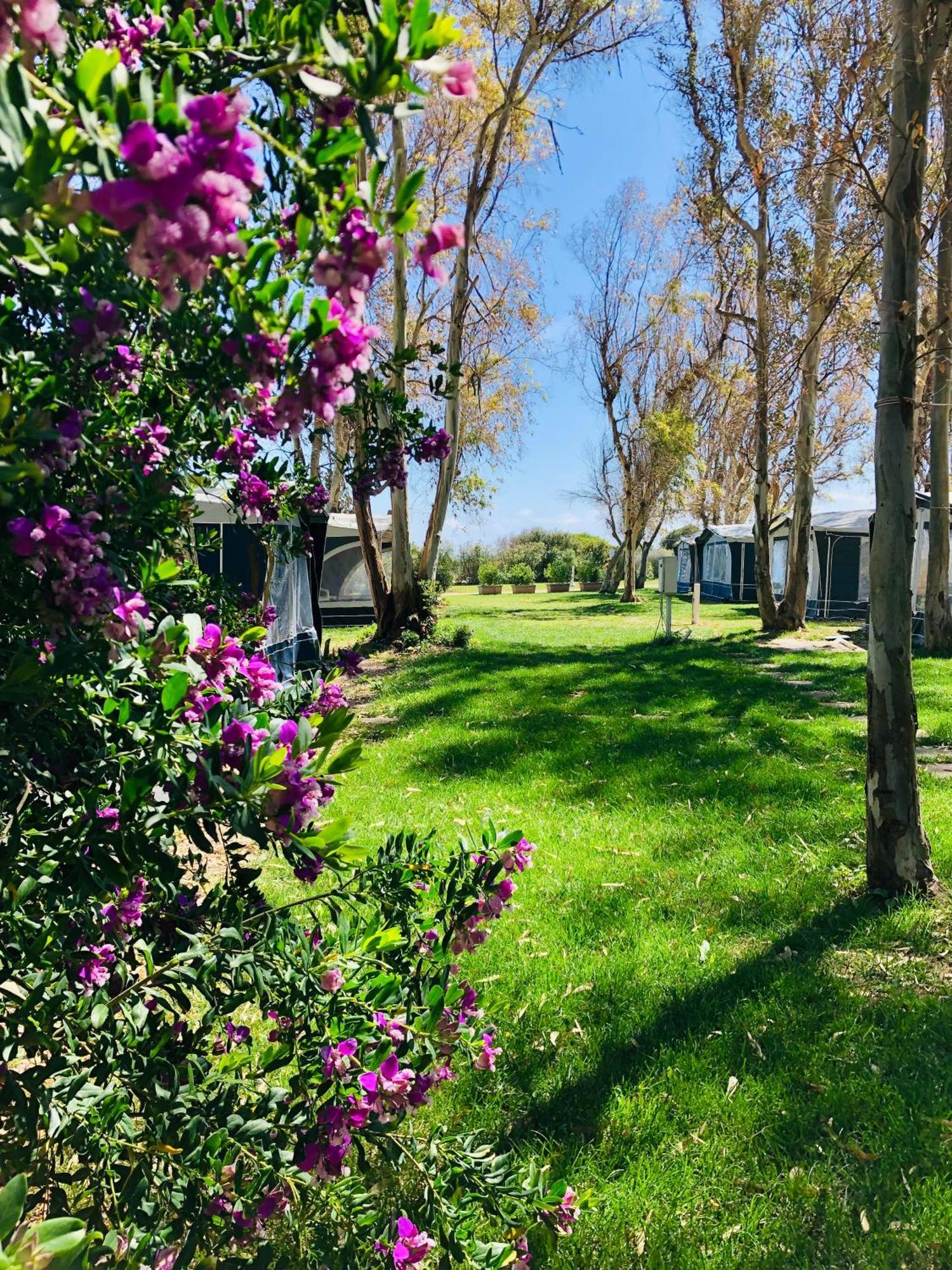 Camping Cala D'Ostia 풀라 외부 사진