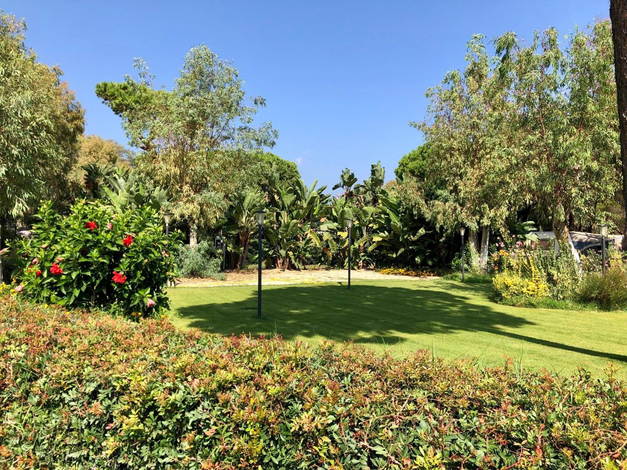 Camping Cala D'Ostia 풀라 외부 사진