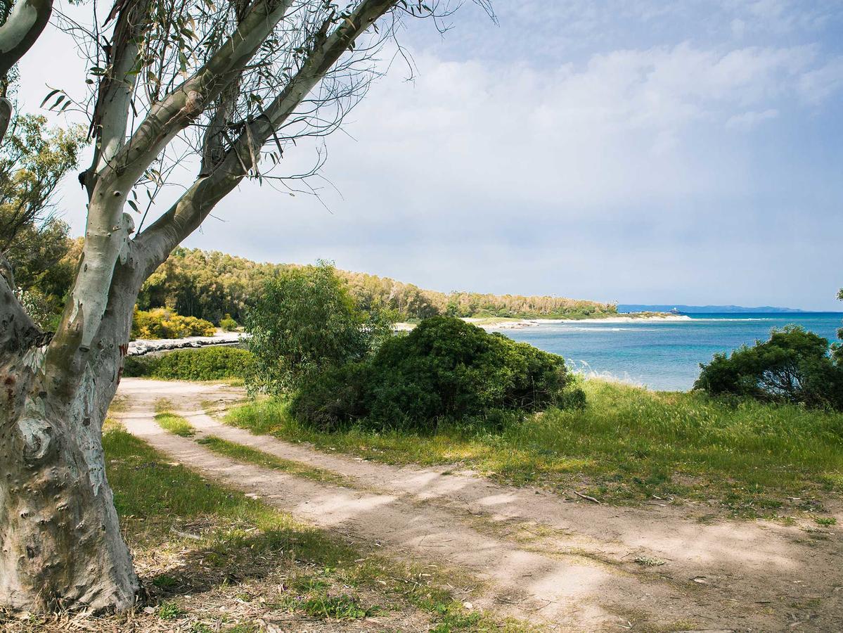 Camping Cala D'Ostia 풀라 외부 사진